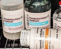 pentobartal sodium for sale in liquid, pills and powder form