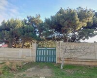 tecili torpaq satilir mehemmedi kendinde, 10 sot , Abşeron rayonu