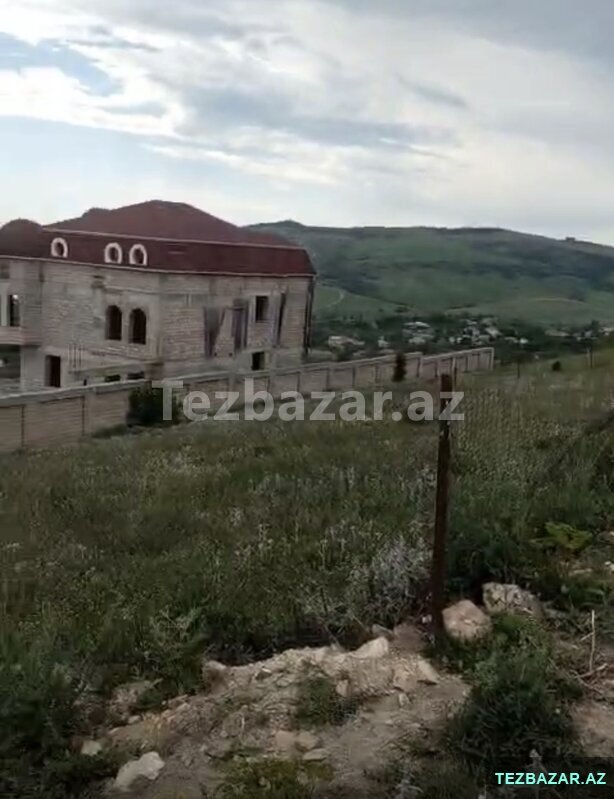 Şamaxıda Totpaq Şamaxıda Totpaq