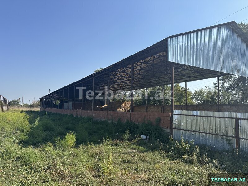 Oğuzda Ferma Oğuzda Ferma