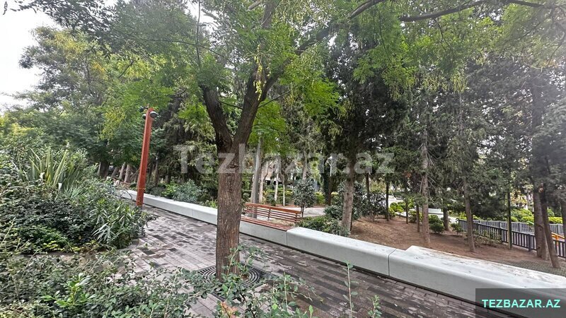 11 otaqlı mənzil 11 otaqlı mənzil