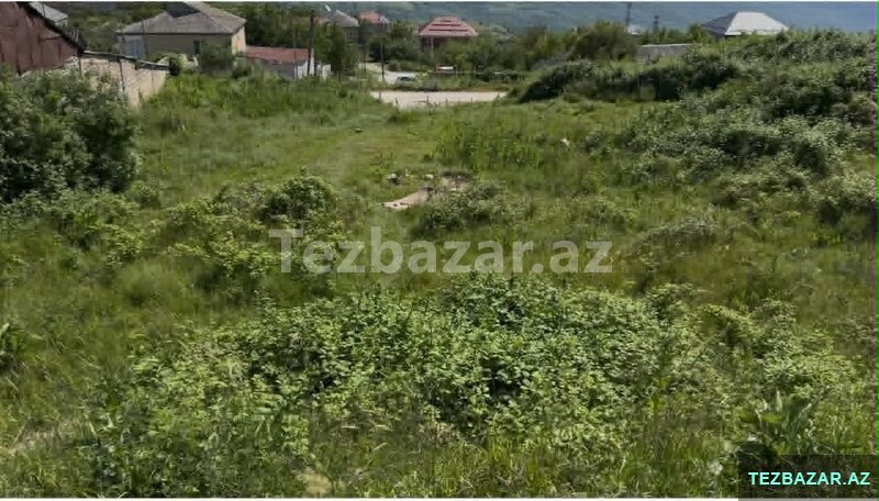 Şamaxıda 6.5 sot çıxarışlı torpaq sahəsi Şamaxıda 6.5 sot çıxarışlı torpaq sahəsi