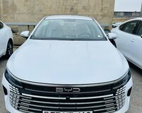 BYD F0  2024 год