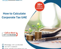 Calculate Corporate Tax in Uae