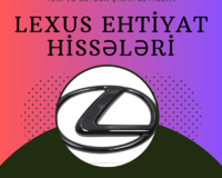 Lexus Ehtiyat Hisseleri