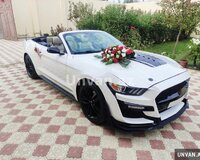 Mustang kiraye bey gelin masini