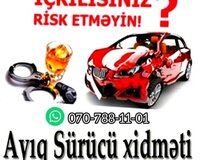 Ayiq surucu xidmeti