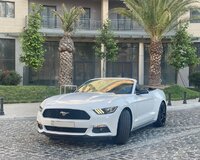 Mustang Cabriolet kirayesi