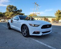 Mustang kiraye toy masini