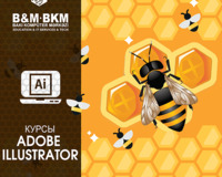 Курсы Adobe Illustrator