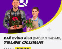 Bağ evinə (Uşaqsız) ailə tələb olunur