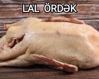 Lal ördək əti