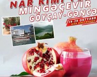 Mingeçebir göyçay gəncə