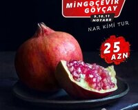 Mingeçevir göyçay turu