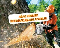 Ağacların kəsilməsi budamaq işləri