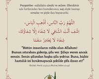 Ərəb dili professional hazırlıq