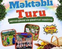 Məktəbli turları