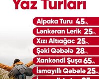 Yaz. Turları