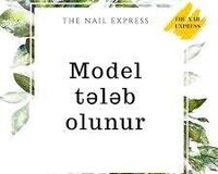 Model tələb olunur təcili