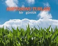 Rayon. Turları