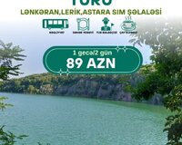 Cənub mirvarisi