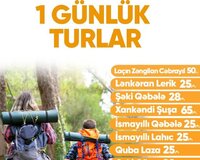 Ölkədaxili turlar