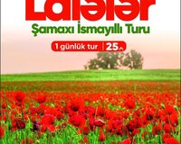 Qəbələ Lavanda Qatar turu