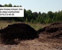 Qara torpaq