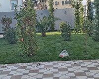 Qazon satişi