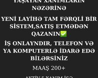 Online iş