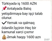 Turkiyede baligci