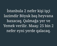 İri buynuzlu heyvana baxilacaq