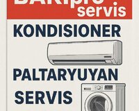 Paltaryuyan ustasi