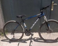 Velosiped 29