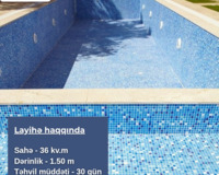 Peşəkar Hovuz Tikinti Xidməti