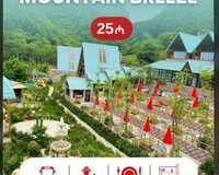 Montain brezzee