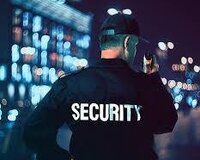 Anbara gecə növbəsinə Mühafizəçi tələb olunur Monitor Arxası