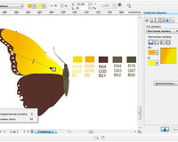 Tədris Mərkəzində Corel draw Proqramından dərslər 20