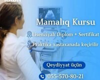 Mamalıq Kursu