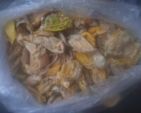 Pətənə qabığı