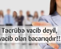 Firma nümayendesi