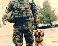 Muhavizeci isi axtariram