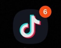 Tiktok Sehife