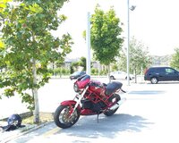 Ducati Monster