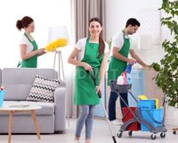 Bag Evleri