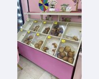 Sirniyyat magazaslna satlcl bey ve xanlmlar teleb olunur