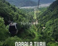 Rayoon turu