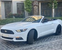 Gundelik mustang kirayesi depozitsiz