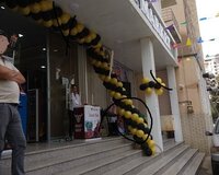 Qapi kenari sar