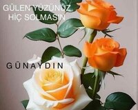 Daye axtarılır